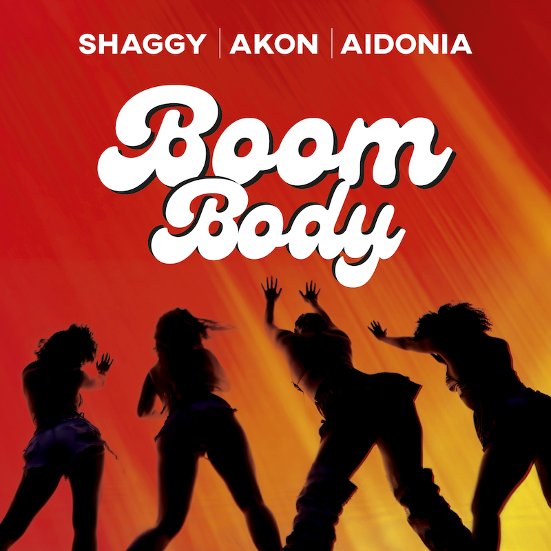 VP6917_SHAGGY_Boom-Body_800.jpg
